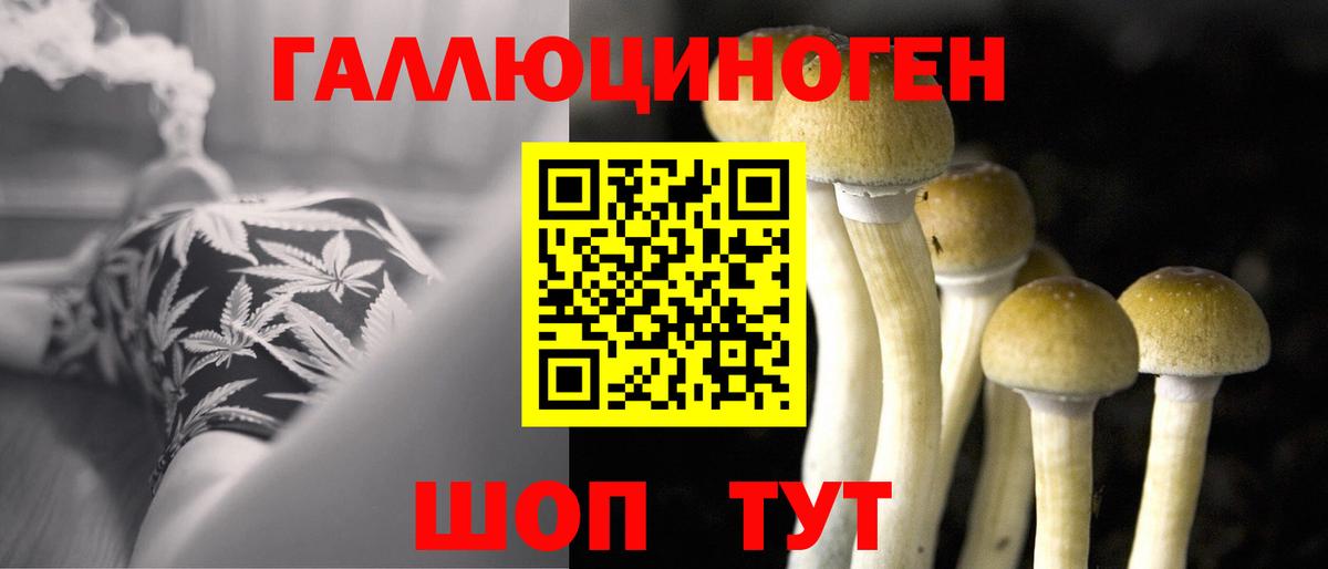 Усть-Илимск  Галлюциногенные грибы Cubensis  цена   Вход с VPN 